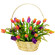mixed color tulips in a basket. Sydney